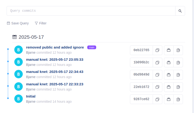 screenshot showing the broken commit being the main