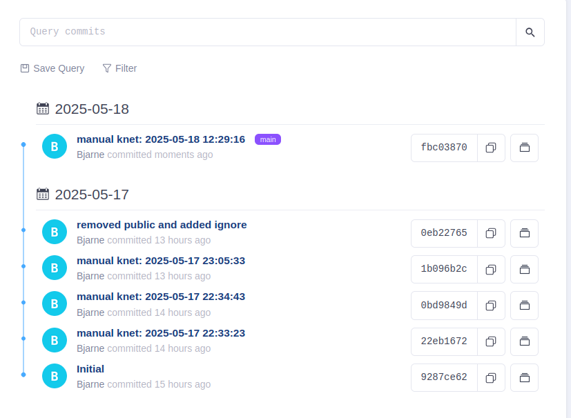screenshot showing the new commit
