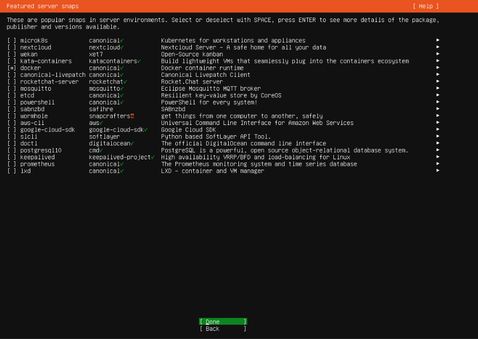 Selecting Docker during Ubuntu installation